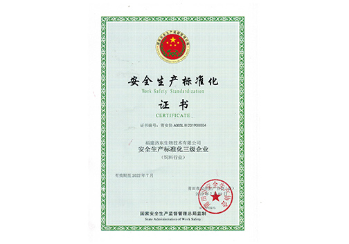 荣誉展示