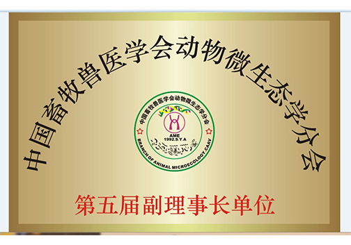 荣誉展示
