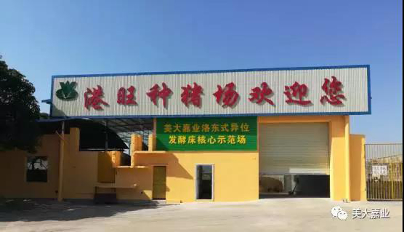 广西养猪协会和贵港市畜牧局领导参观港旺公司 福建洛东异位发酵床工程