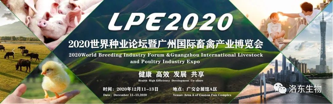 福建洛东参展2020 广州国际畜禽产业博览会