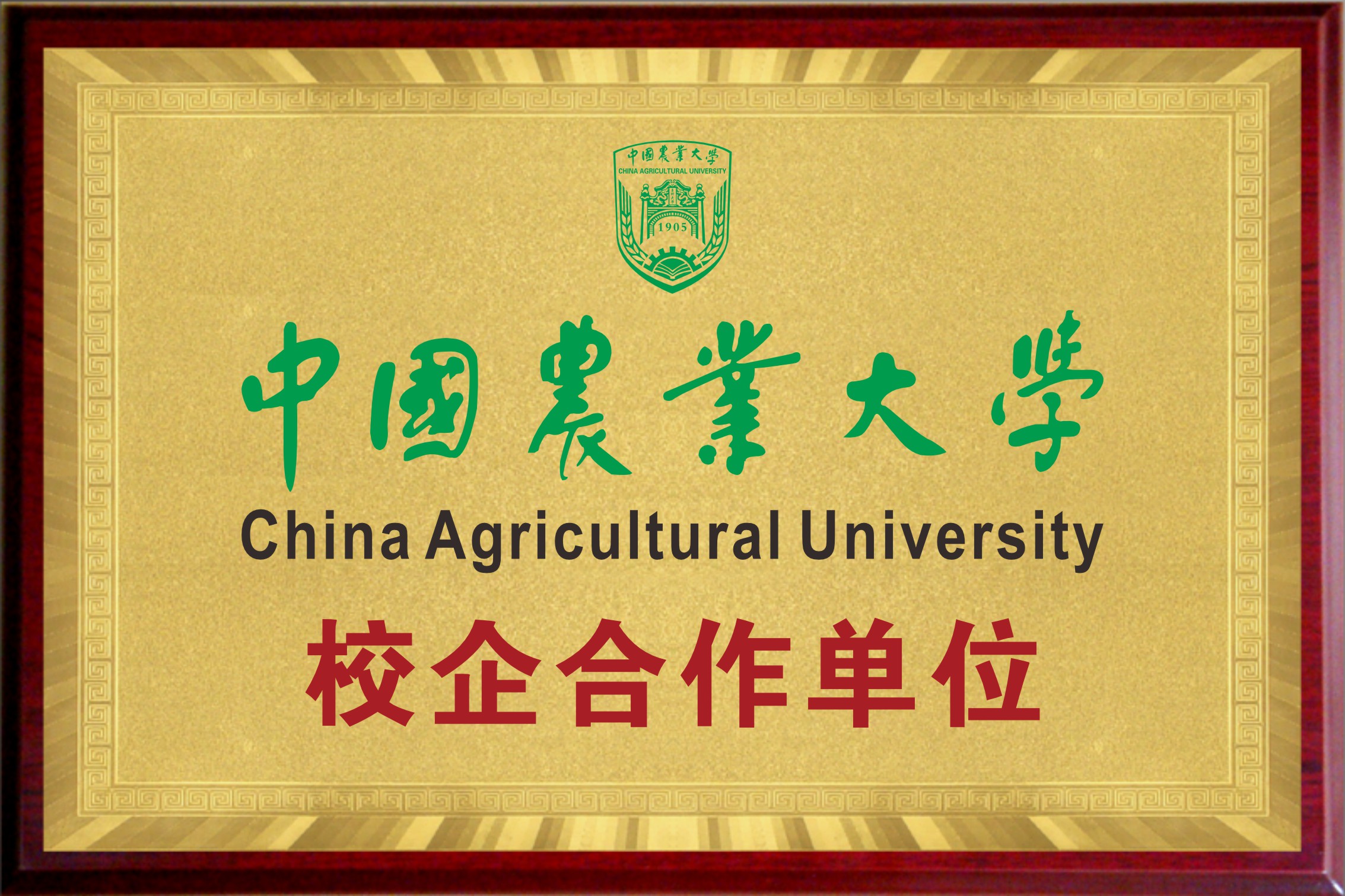 校企合作单位