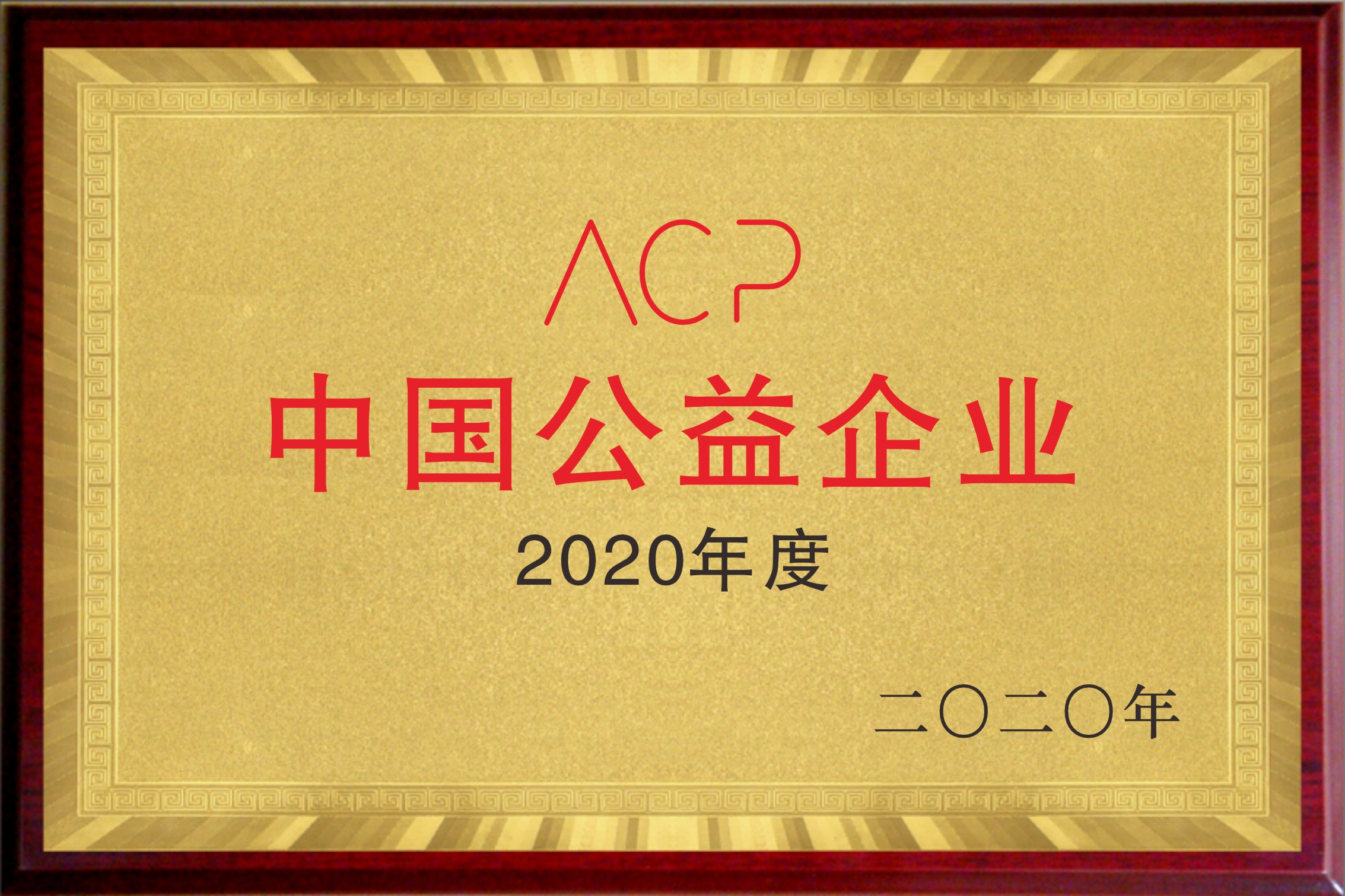 2020中国公益企业下属单位