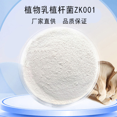 植物乳植杆菌ZK001