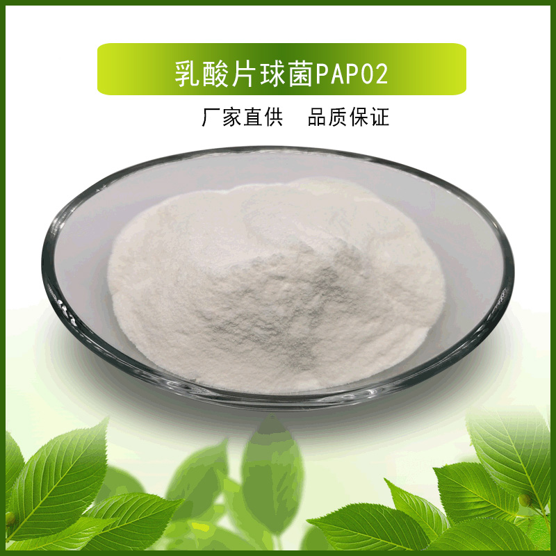 乳酸片球菌PAP02