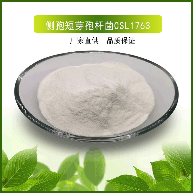 侧孢短芽孢杆菌CSL1763
